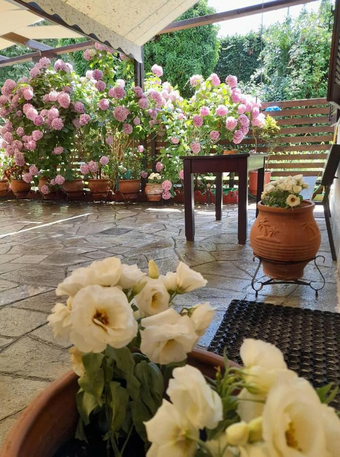 Eleni Studios Agios Ioannis  المظهر الخارجي الصورة