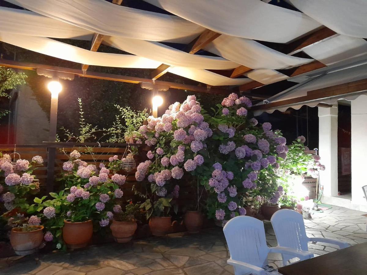 Eleni Studios Agios Ioannis  المظهر الخارجي الصورة
