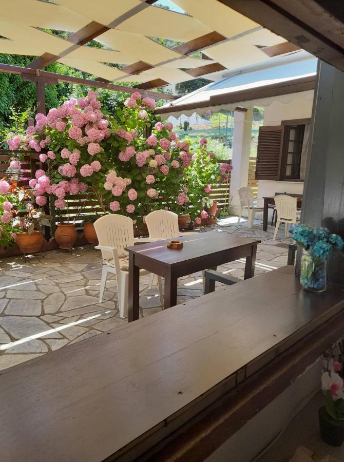 Eleni Studios Agios Ioannis  المظهر الخارجي الصورة