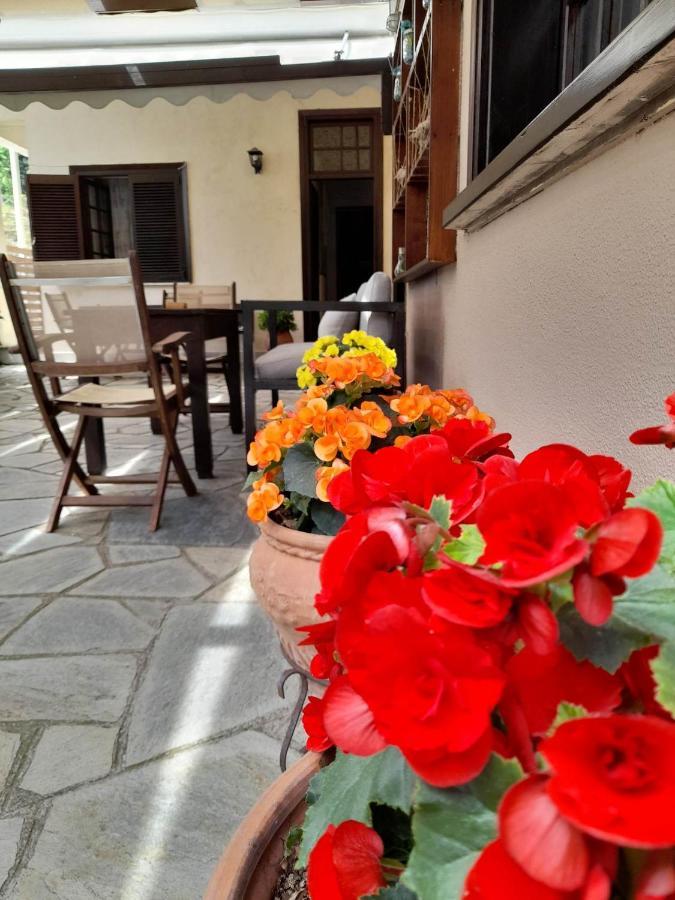 Eleni Studios Agios Ioannis  المظهر الخارجي الصورة